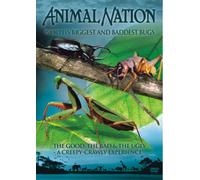 Animal Nation - Animal Nation - Worlds Biggest Baddest Bugs [Import anglais]