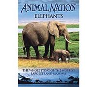 Animal Nation - Elephants - The Whole Story G