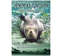Animal Nation - Forgotten Rhino [Dvd]