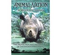 Animal Nation - Forgotten Rhino G
