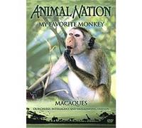 Animal Nation - My Favourite Monkey G
