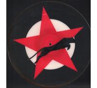 ANIMAL NIGHTLIFE - ANIMAL NIGHTLIFE - MR SOLITAIRE 12in SHAPED PIC DISC (20104)
