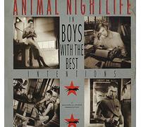 Animal Nightlife - Boys With The Best Intentions 7 : Animal Nightlife