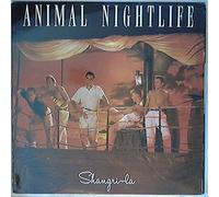 Animal Nightlife - Shangri-La