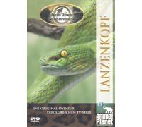 Animal Planet - Austin Stevens - Lanzenkopf