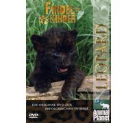 Animal Planet - Findelkinder - Leopard