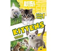 Animal planet - Kittens (1 DVD)