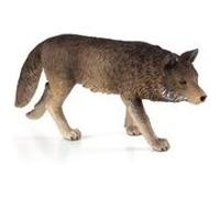 Animal planet loup des bois, marche G