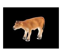 Animal Planet Mojo Jersey Veau Debout
