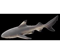 Animal Planet Mojo Requin À Nageoires Noires