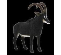 Animal Planète Mojo, 11x3x11