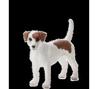 Animal Planète Mojo Jack Russell Terrier