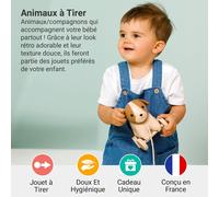 Animal Pull ToyBaby Pull ToyTraditional ToyEasy to CleanSafe for BabyAdrien Le Chien