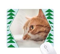 animal pure cat photo photo tapis de souris green pine tree tapis en caoutchouc