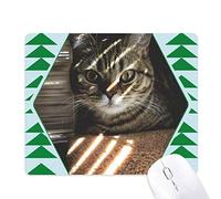 animal rayon photo - cat tapis de souris green pine tree tapis en caoutchouc