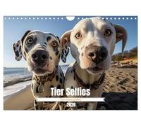 Animal Selfies (calendrier mural 2026 DIN A4 paysage) Calendrier mensuel CALVENDO