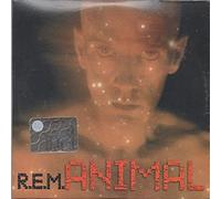 Animal / South Central Rain
