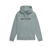 Animal - Sweat à capuche DRIVER - Homme (MW565)