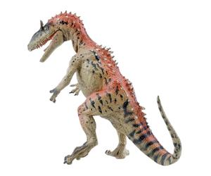 Animal Table Figurines, Kids Learning Toys, Educational Animal Models