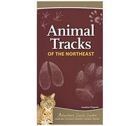 Animal Tracks Of The Northeast