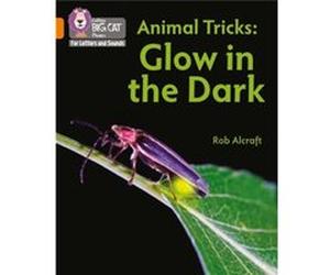 Animal Tricks Glow in the Dark by Rob Alcraft Paperback Book Rob Alcraft (Auteur)