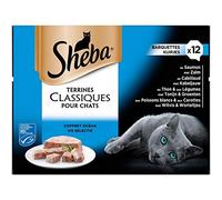 Animalerie Barquettes pour Chat Les Terrines Océanes 12X85G - Lot De 3