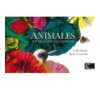 Animales Que Hacen Cosas En Silencio - Bosch, Lolita , Rebeca Luciani (il.) Bosch, Lolita , Rebeca Luciani Il (Auteur)