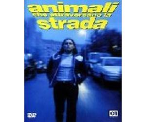Animali Che Attraversano La Strada