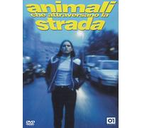 Animali Che Attraversano La Strada