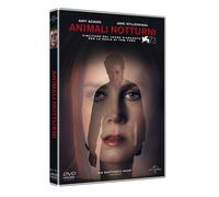 Animali Notturni (DVD) Amy Adams Jake Gyllenhaal Tom Ford