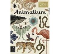 Animalium by Jenny Broom Jenny Broom, Katie Scott (Auteur)