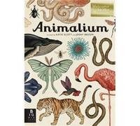 Animalium Welcome to the Museum by Jenny Broom & Illustrated by Katie Scott Jenny Broom Illustrated by Katie Scott (Auteur)