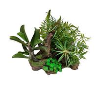 animallparadise - Racine et plantes, 36 x 31 x 33 cm, décoration aquarium.