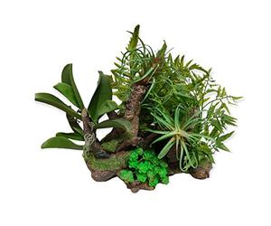 animallparadise - Racine et plantes, 36 x 31 x 33 cm, décoration aquarium.