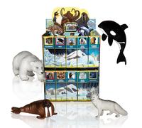 Animalpedia L'era Polare - Pack 4 animaux - Jeux à collectionner pour enfants. Jeux éducatifs, l'encyclopédie des animaux. Jouets en tpr doux. E (Ours - Orque - Morse - Renard Arctique)