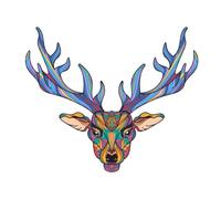 Animals , Adult Coloring Book for Mind Clarity: Relax and Unwind with Everything Beyond the Busy Life