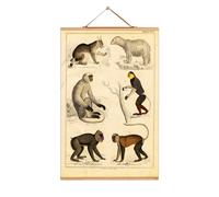 Animals affiches No04 eicie OFFRE SPECIALE - 4052115043034