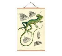Animals affiches No126 eicie OFFRE SPECIALE - 4052115044253