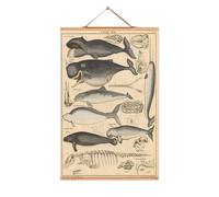 Animals affiches No16 eicie OFFRE SPECIALE - 4052115043157
