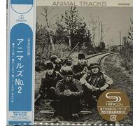 Animals - Animal Tracks