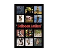 Animals - Animals - Poster Hello Ladies - Collage