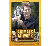 Animals at Work with John Barr [Import]