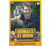 Animals At Work With John Barrowman [3 DVD BOXSET]
