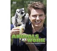 Animals At Work - With John Barrowman G