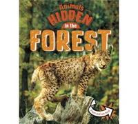Animals Hidden in the Forest by Jessica Rusick Jessica Rusick (Auteur)