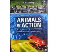 ANIMALS IN ACTION [Region Free]