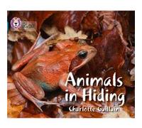 Animals in Hiding by Charlotte Guillain Charlotte Guillain, Cliff Moon (Auteur)