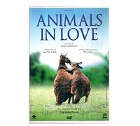 Animals In Love