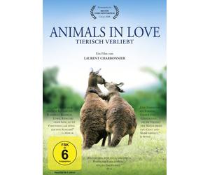 Animals in Love - Animals in Love