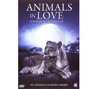 Animals in Love ( Les animaux amoureux )